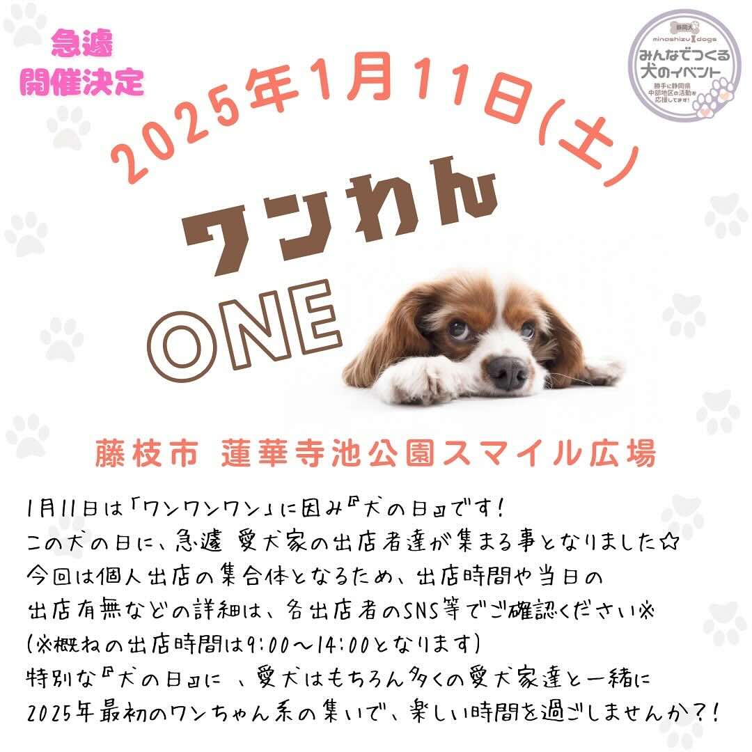 ワンわんONEの画像