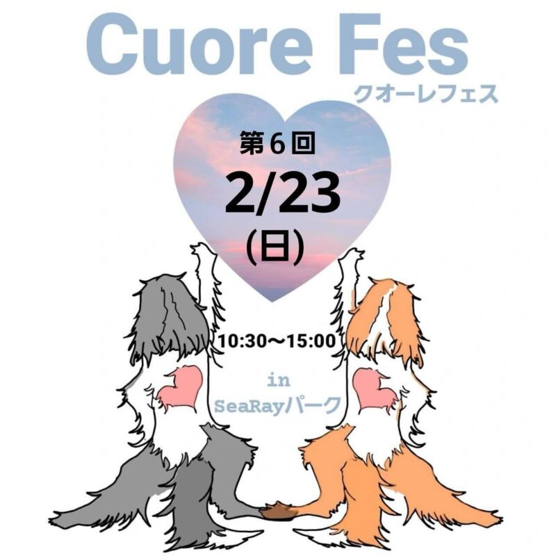 第6回Cuore Fes （クオーレフェス）の画像