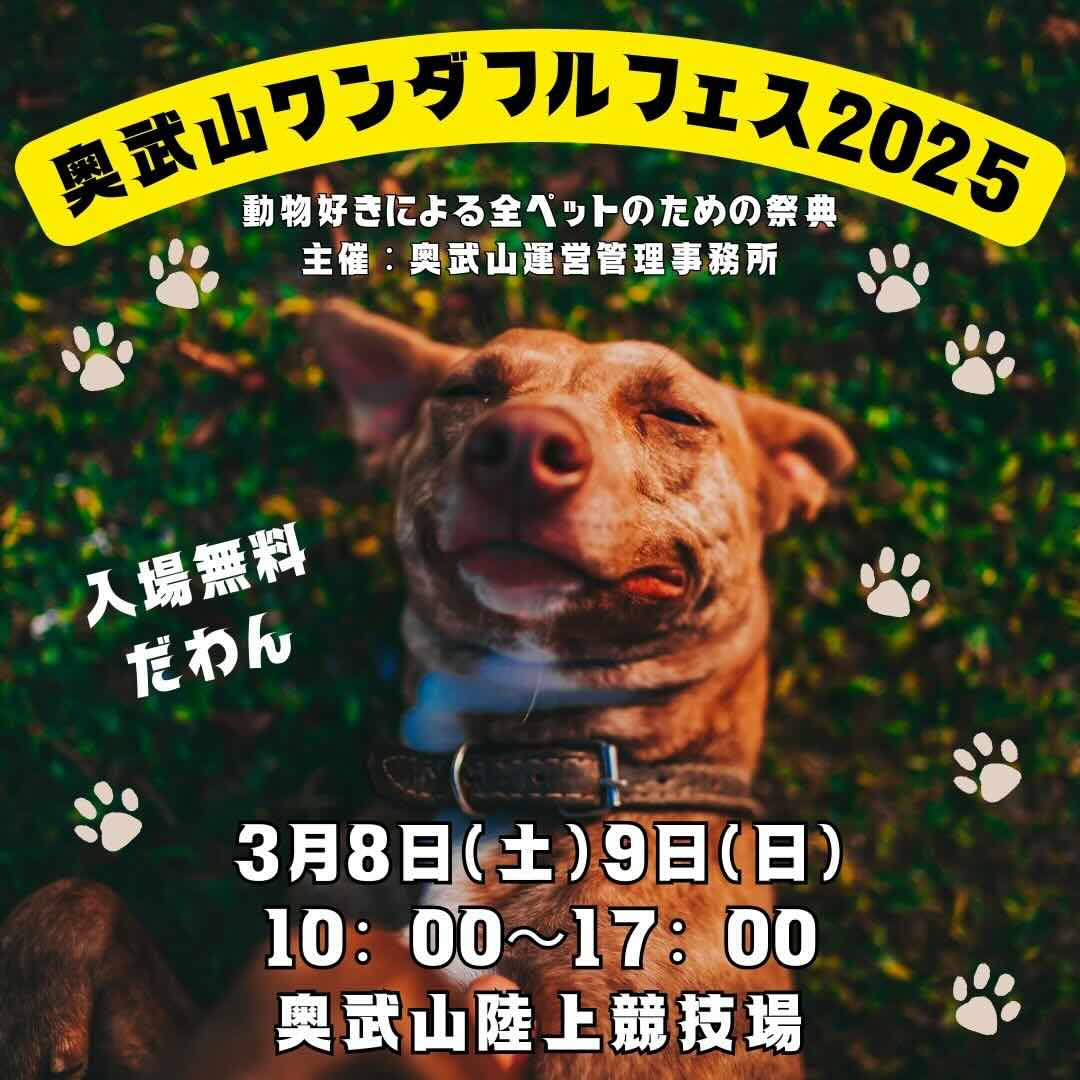 奥武山ワンダフルフェス2025の画像