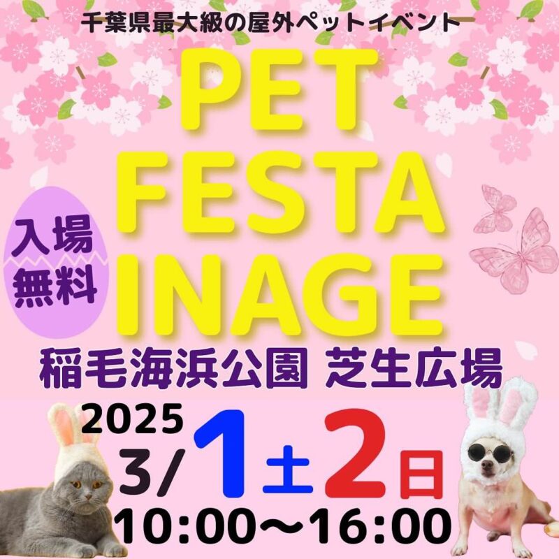 PET FESTA INAGEのイベント画像