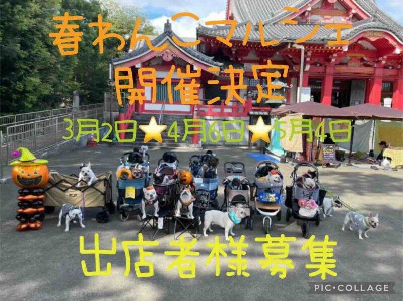 春わんこマルシェの画像