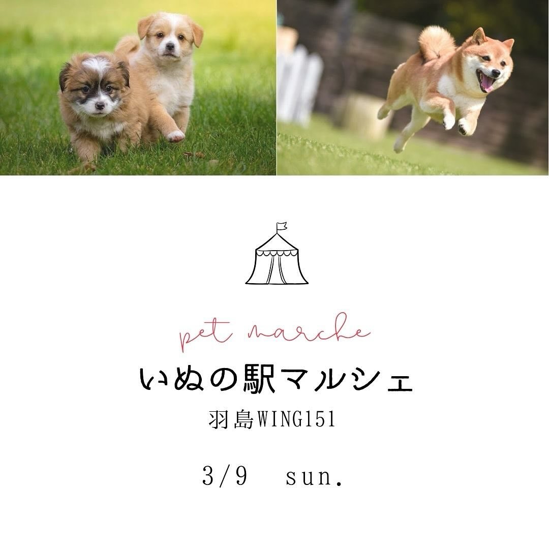 いぬの駅マルシェのイベント画像
