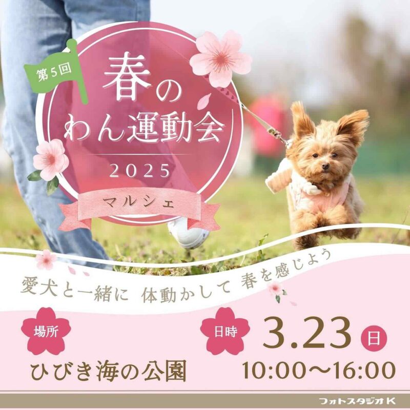 第5回 春のわん運動会&マルシェのイベント画像