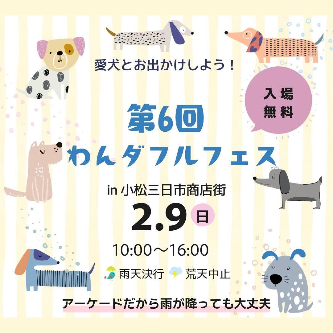 第６回 わんダフルフェス in 小松三日市商店街の画像