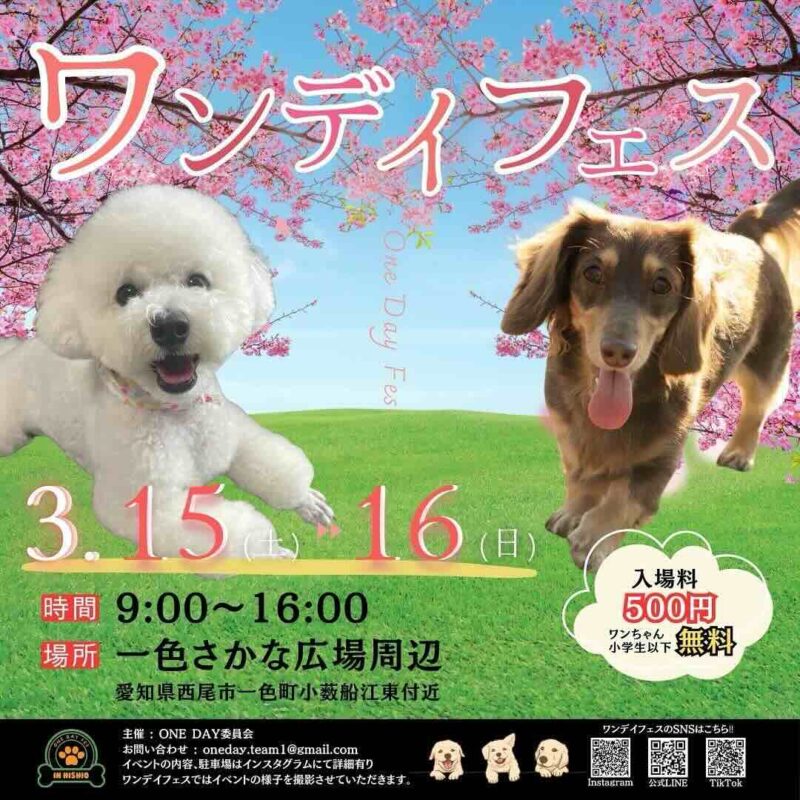 第4回 ワンデイフェスのイベント画像