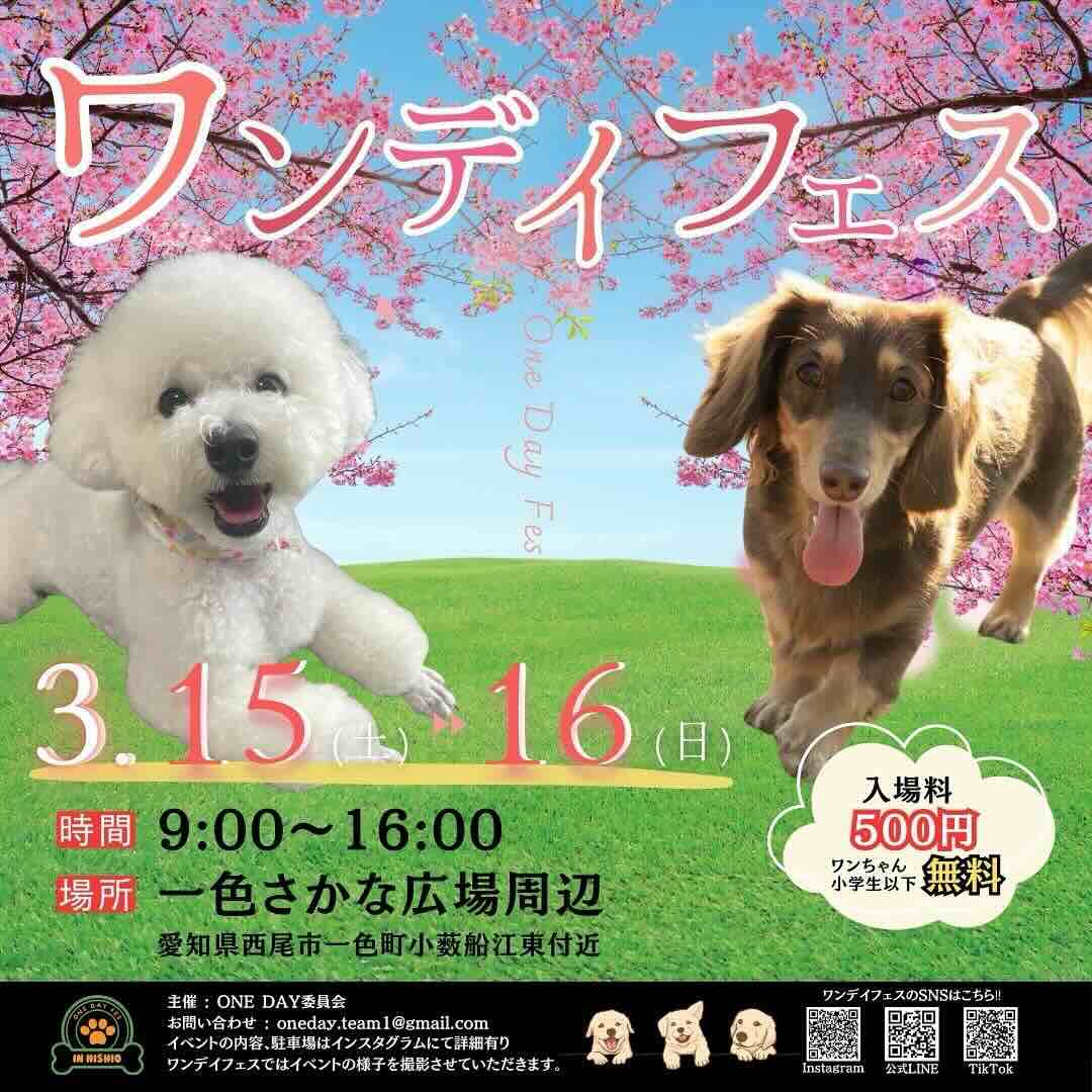 第4回 ワンデイフェスのイベント画像