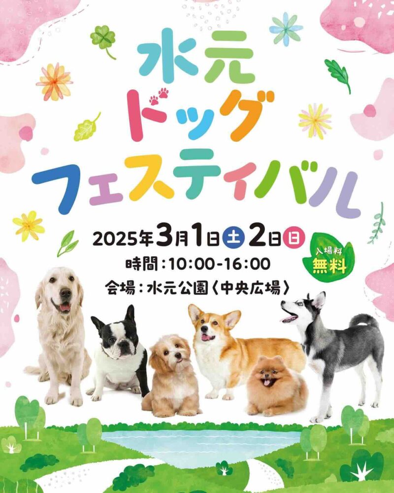水元ドッグフェスティバルのイベント画像