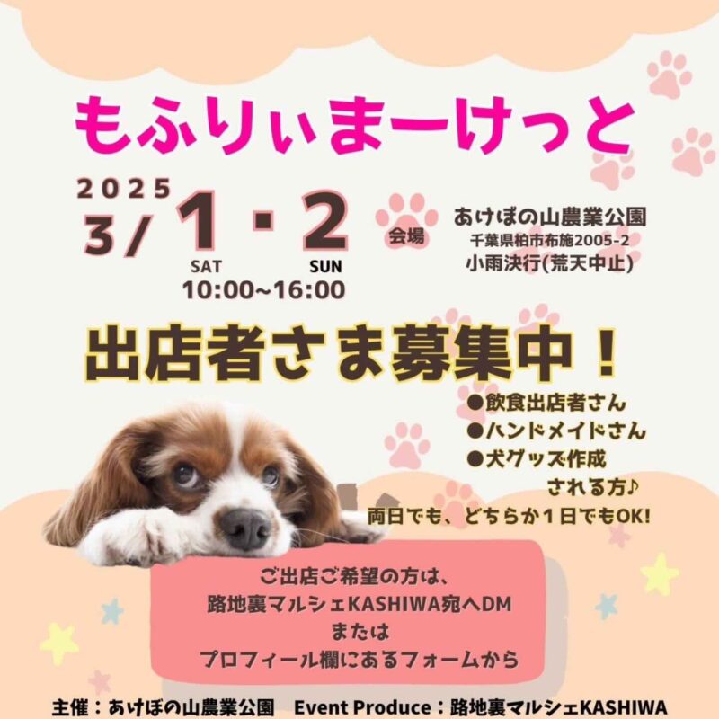 もふりぃまーけっとのイベント画像