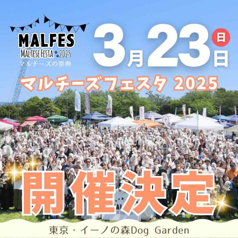 マルチーズフェスタ 2025のイベント画像