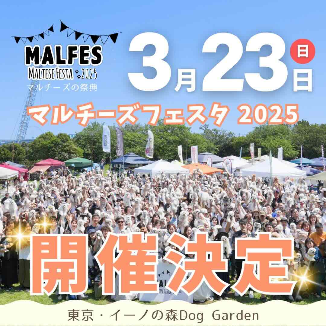 マルチーズフェスタ 2025のイベント画像
