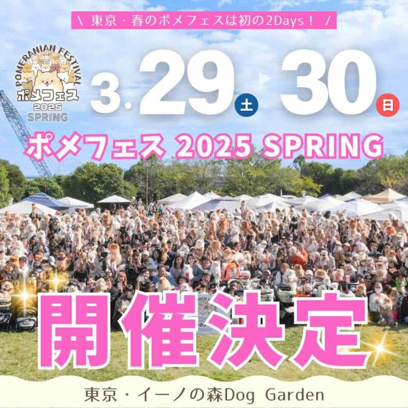 ポメラニアンフェスティバル 2025 SPRINGのイベント画像