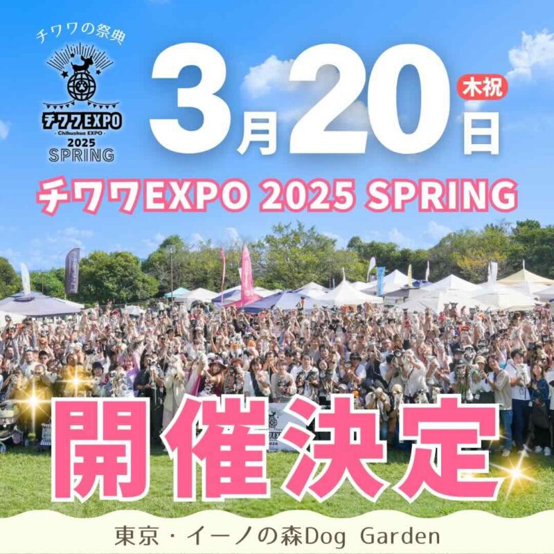 チワワEXPO 2025 SPRING – Chihuahua EXPO 2025 SPRING–のイベント画像