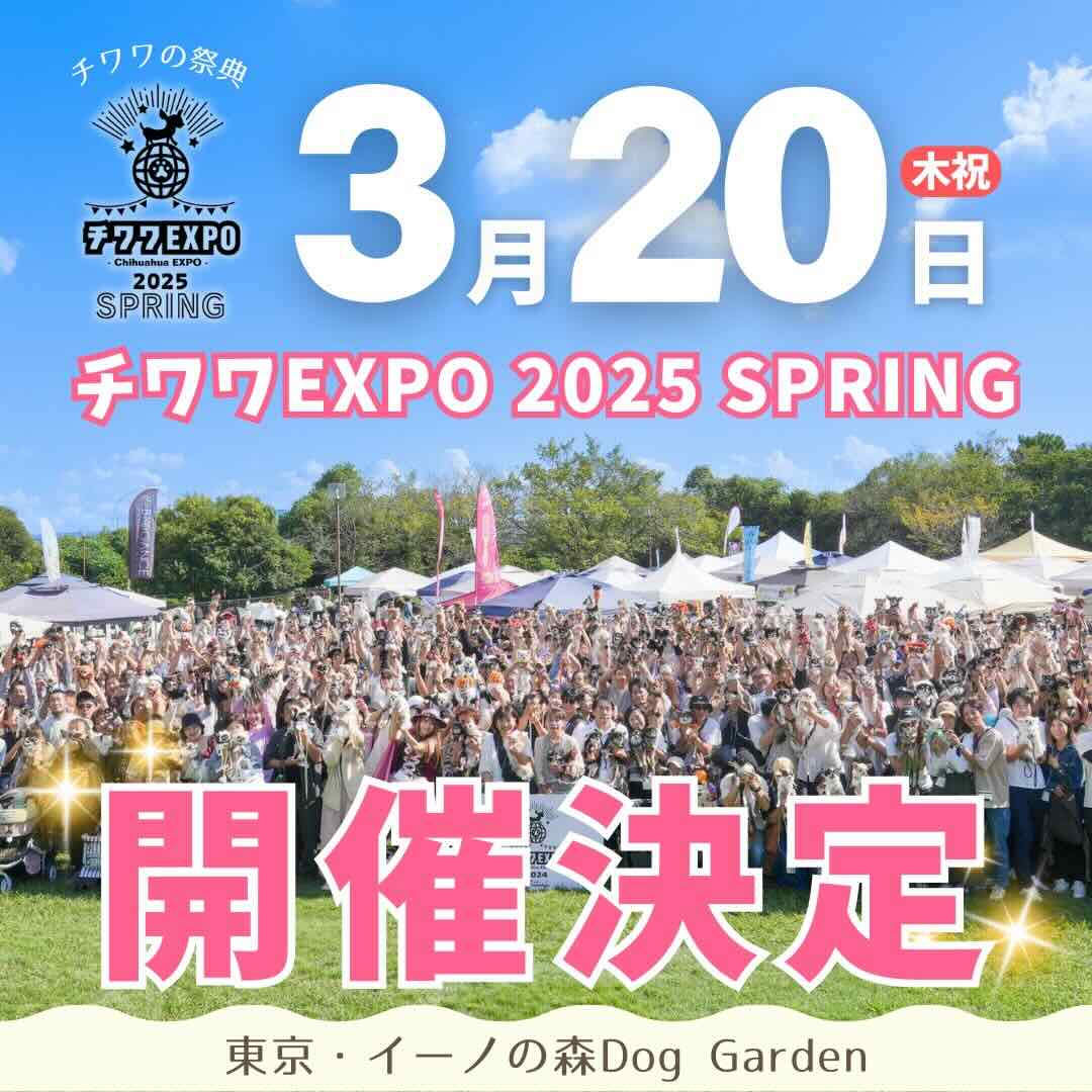 チワワEXPO 2025 SPRING – Chihuahua EXPO 2025 SPRING–のイベント画像