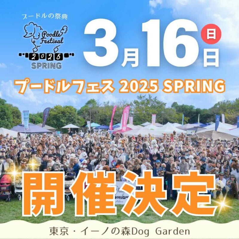 プードルフェスティバル2025 Springのイベント画像