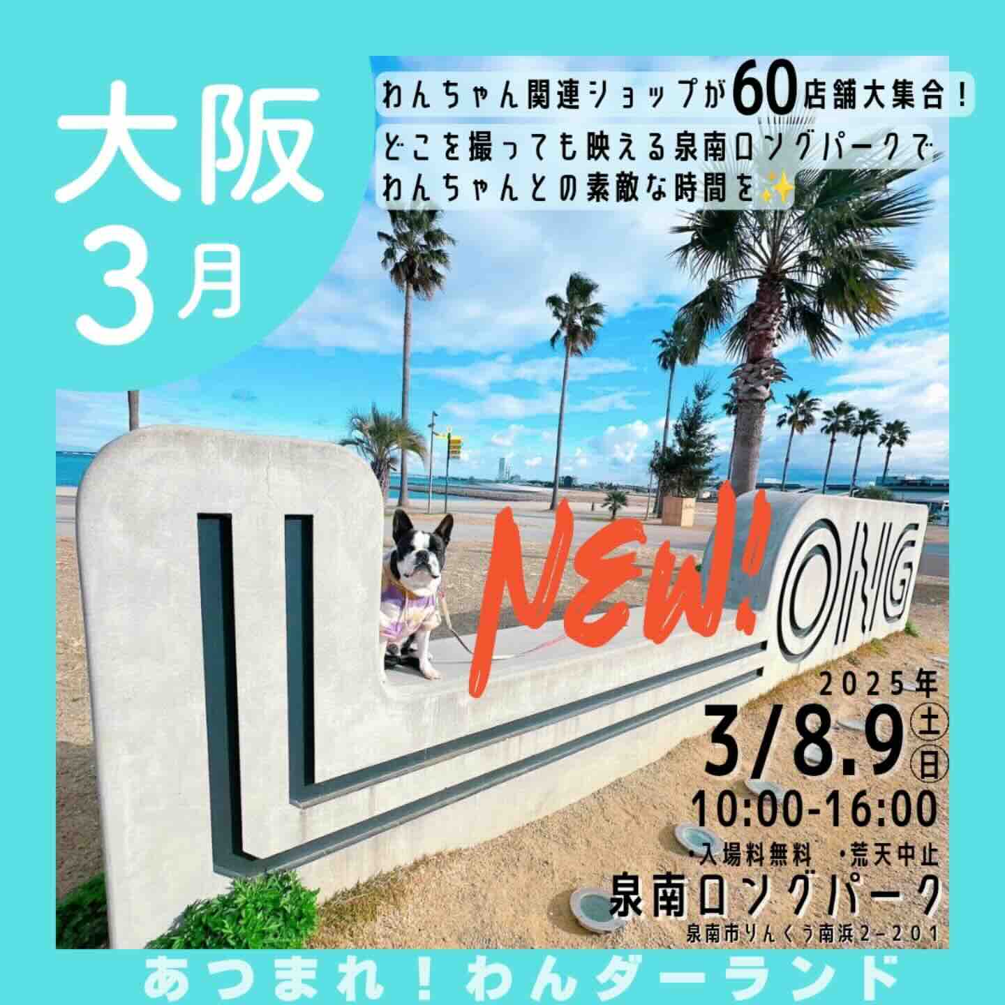 あつまれ!わんダーランドのイベント画像