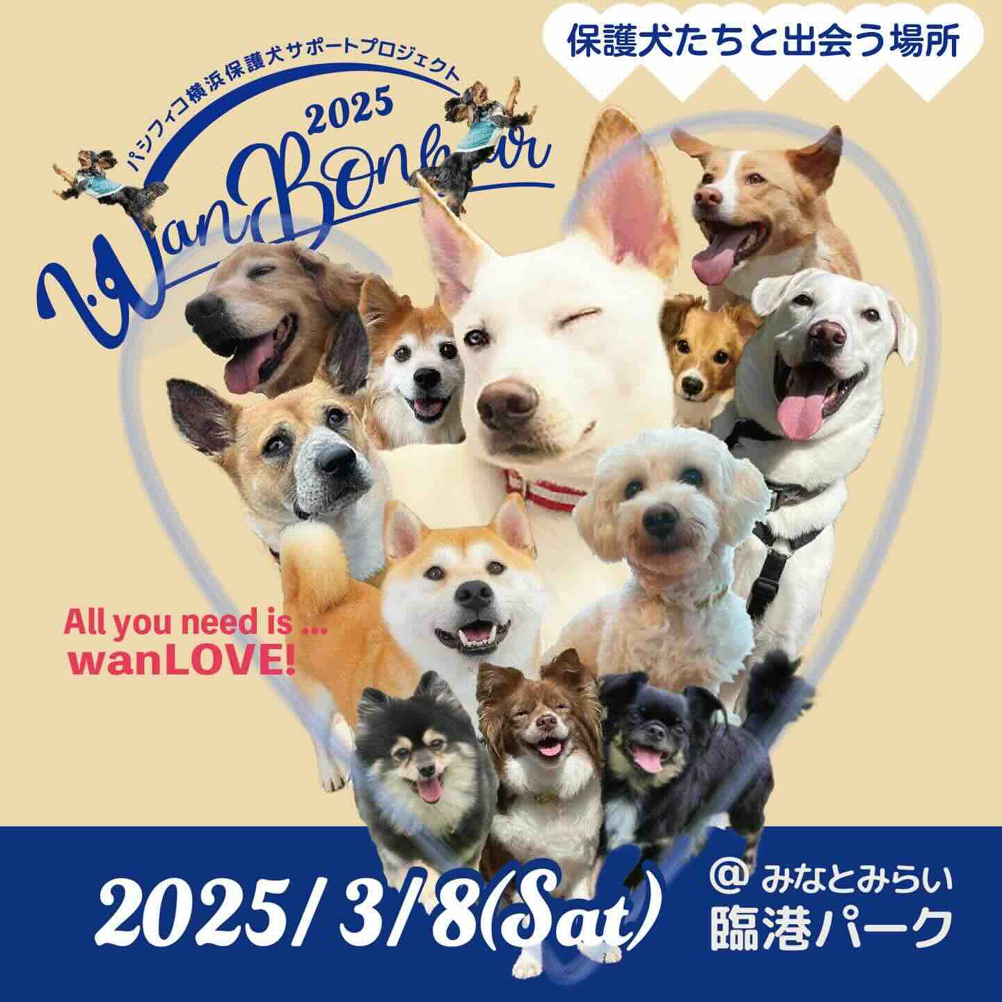 Wan Bonheur 2025（ワンボナ）のイベント画像