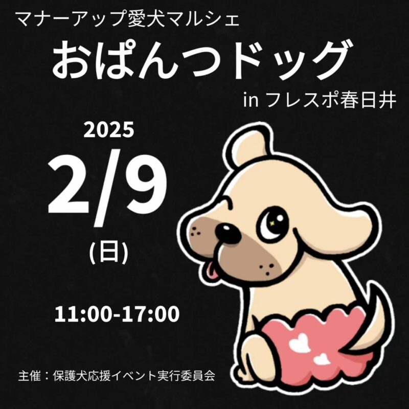 おぱんつドッグ in フレスポ春日井のイベント画像