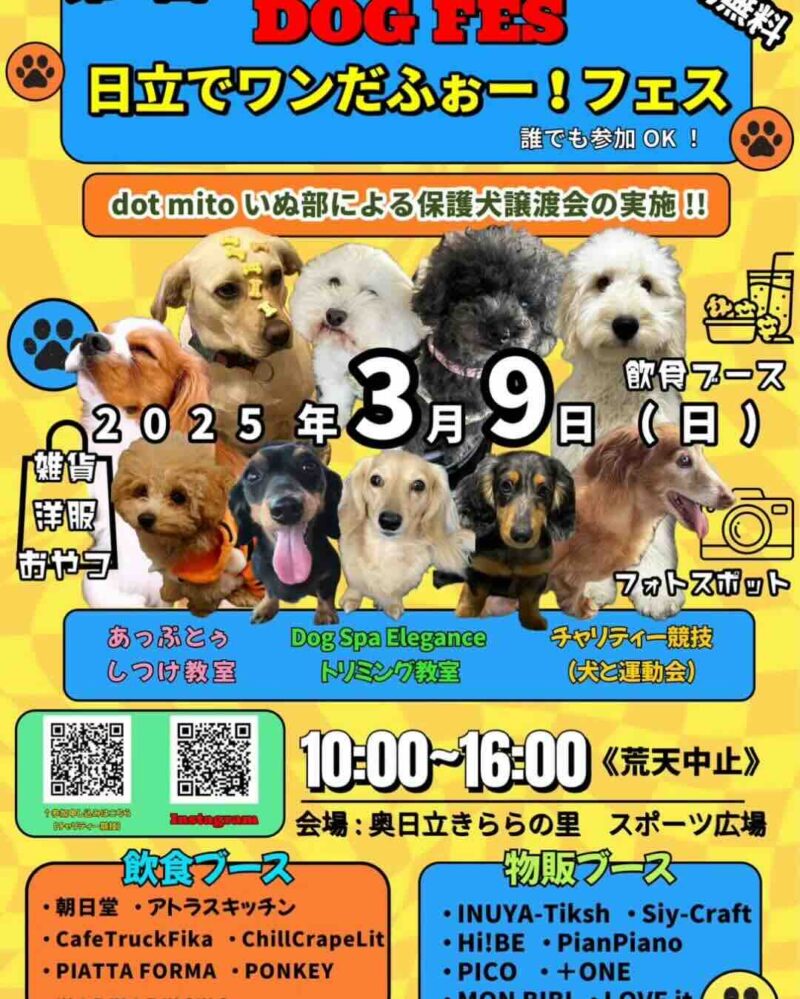 第1回 日立でわんだふぉー！フェスのイベント画像