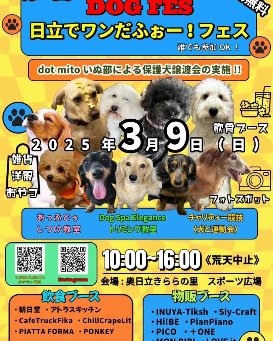 第1回 日立でわんだふぉー!フェスのイベント画像