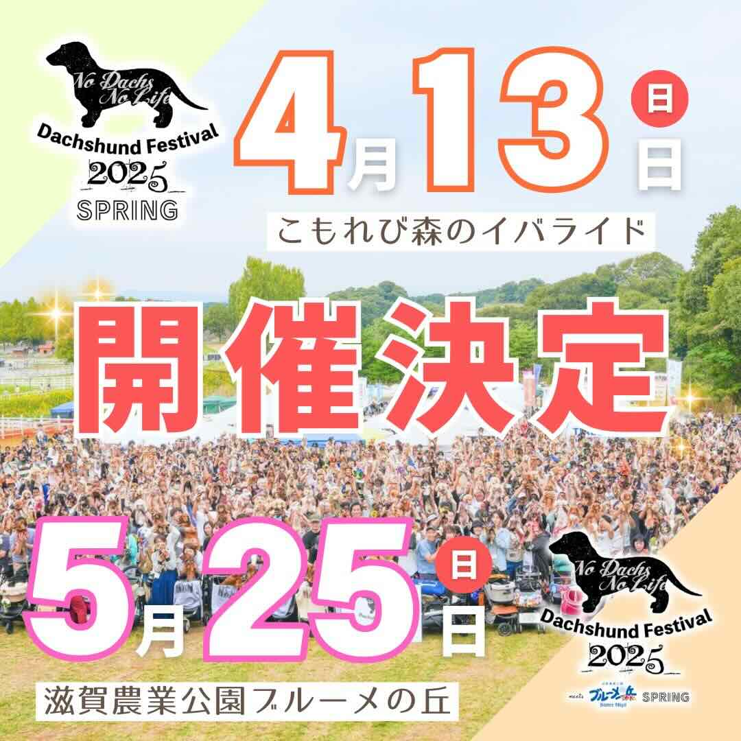 ダックスフントフェスティバル 2025 SPRINGのイベント画像