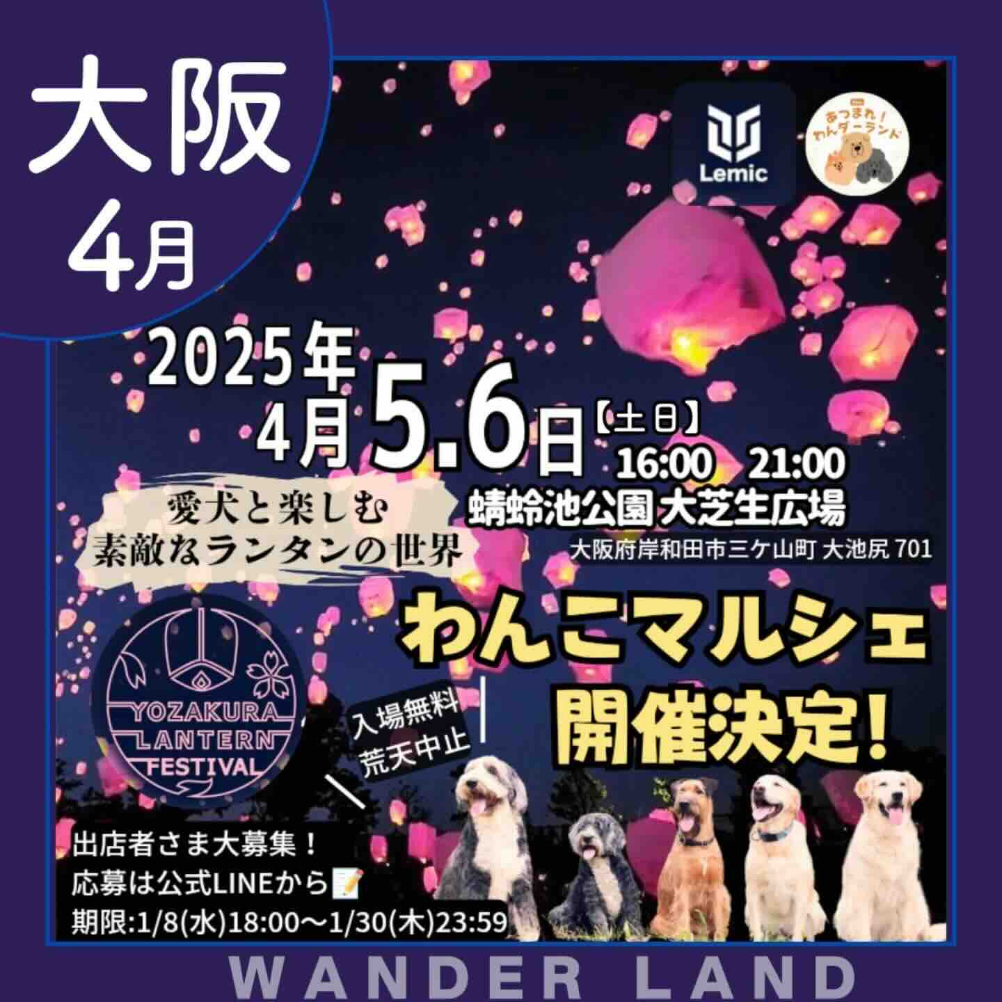 夜桜ランタンフェス -わんこフェス-のイベント画像