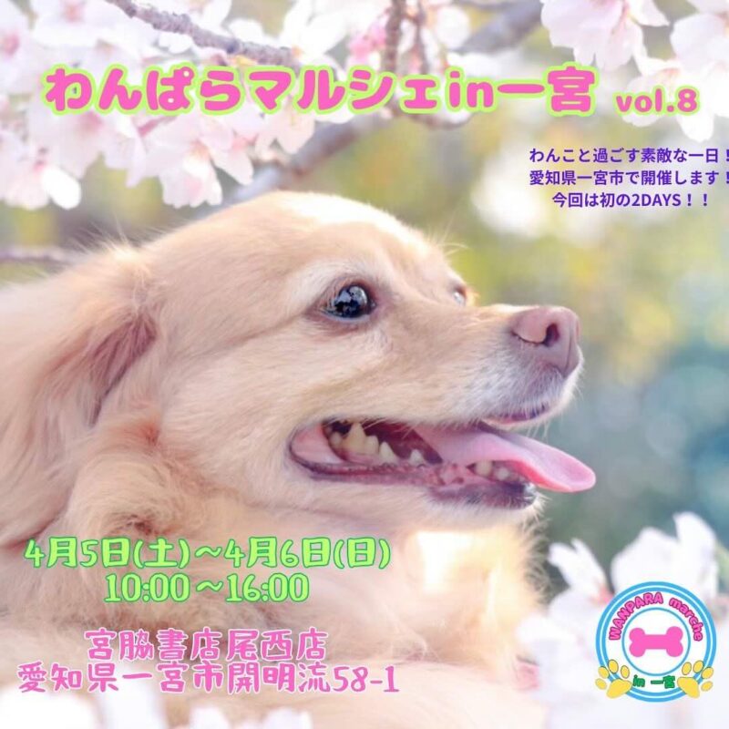 わんぱらマルシェ in 一宮 vol.8のイベント画像