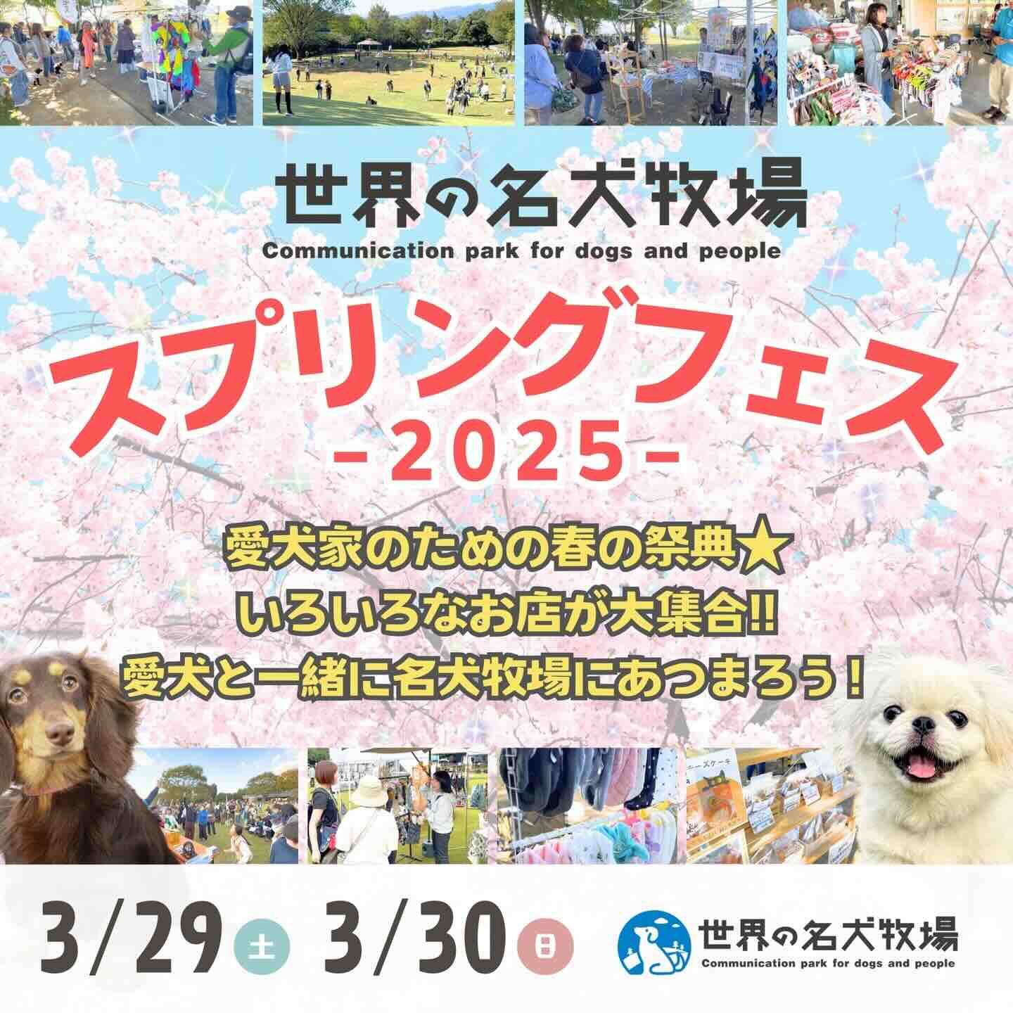 世界の名犬牧場スプリングフェス2025のイベント画像