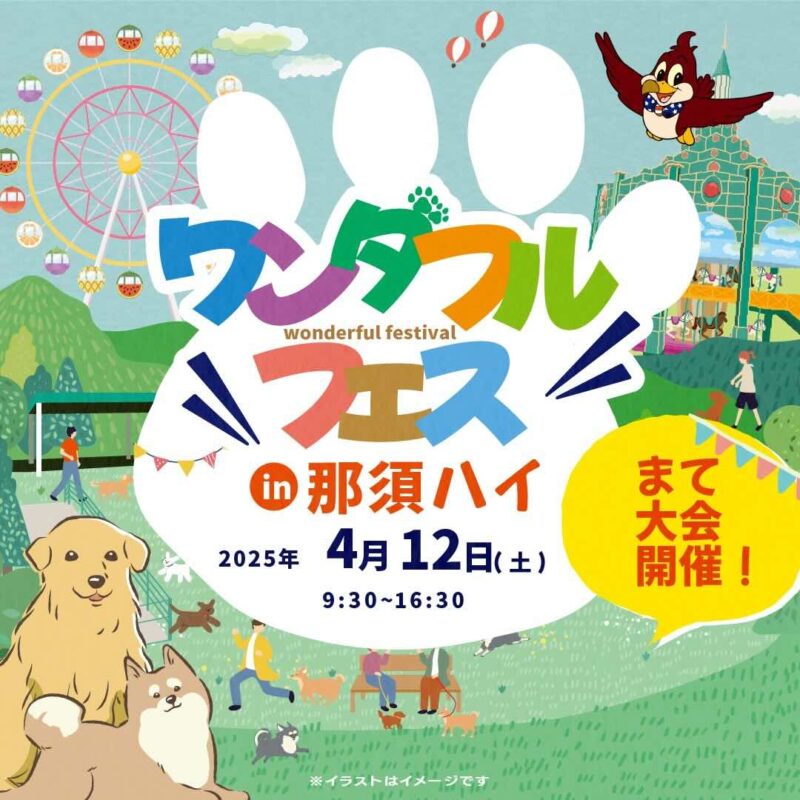 ワンダフルフェス in 那須ハイのイベント画像