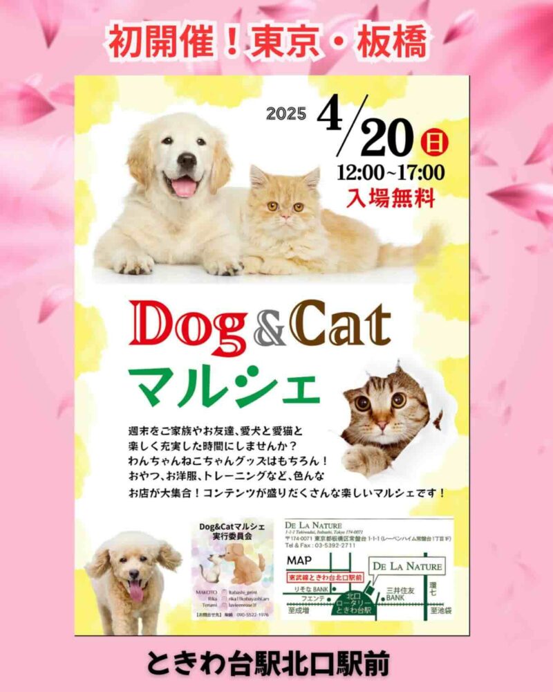 Dog&Catマルシェのイベント画像