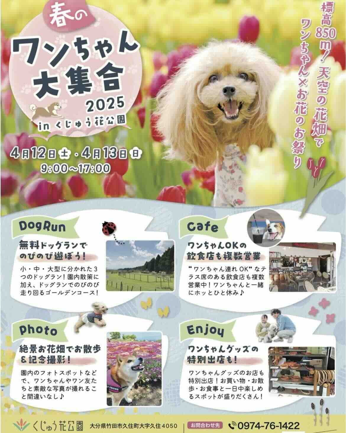 春のワンちゃん大集合2025 inくじゅう花公園のイベント画像