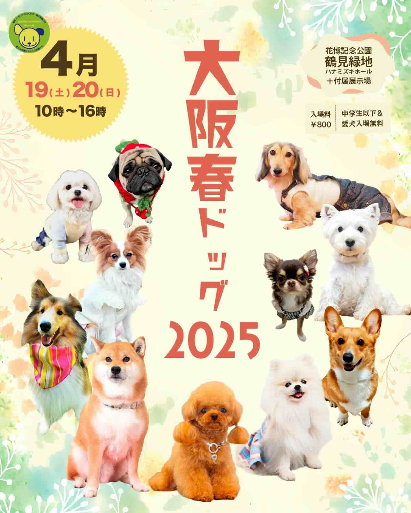 大阪春ドッグ2025のイベント画像