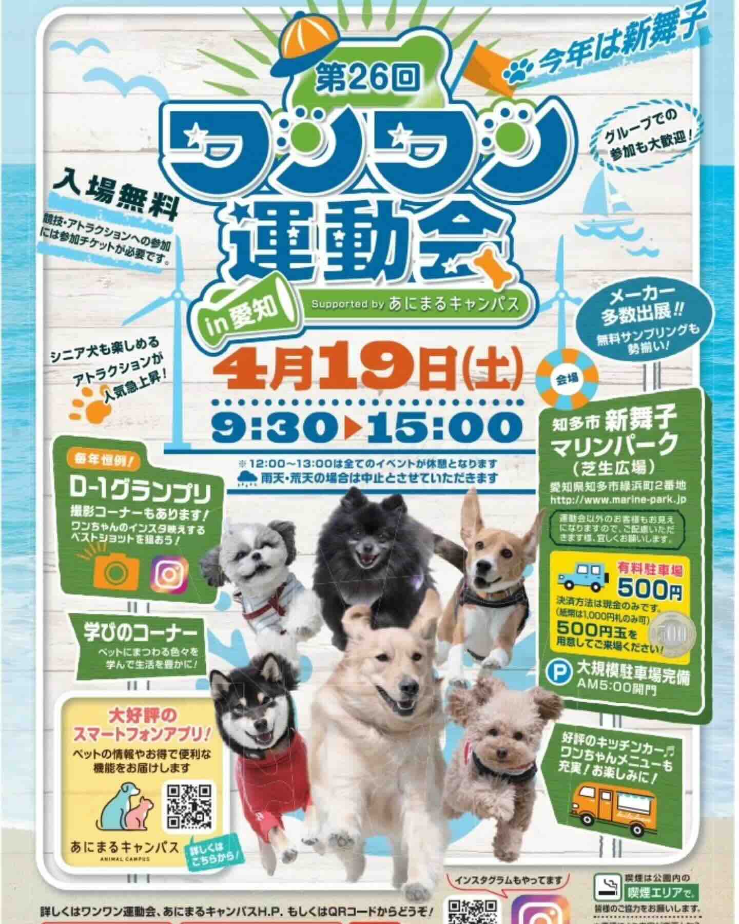 第26回 ワンワン運動会 in 愛知のイベント画像