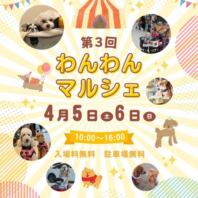 第3回 わんわんマルシェのイベント画像
