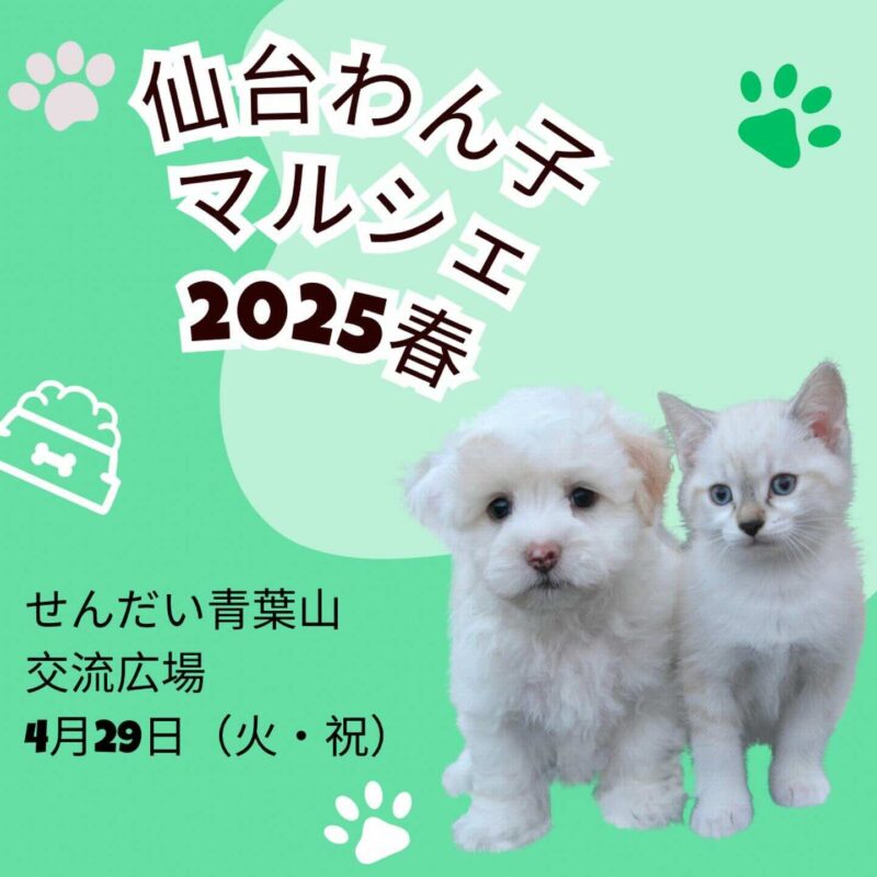 仙台わん子マルシェ 2025 春のイベント画像