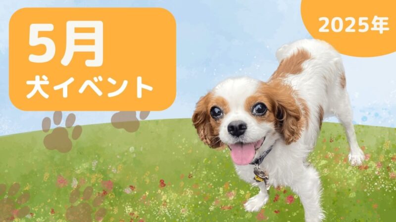 【ラテちゃんねる】2025年5月犬イベントの画像