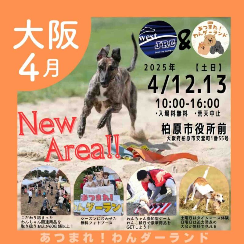 あつまれ!わんダーランドのイベント画像