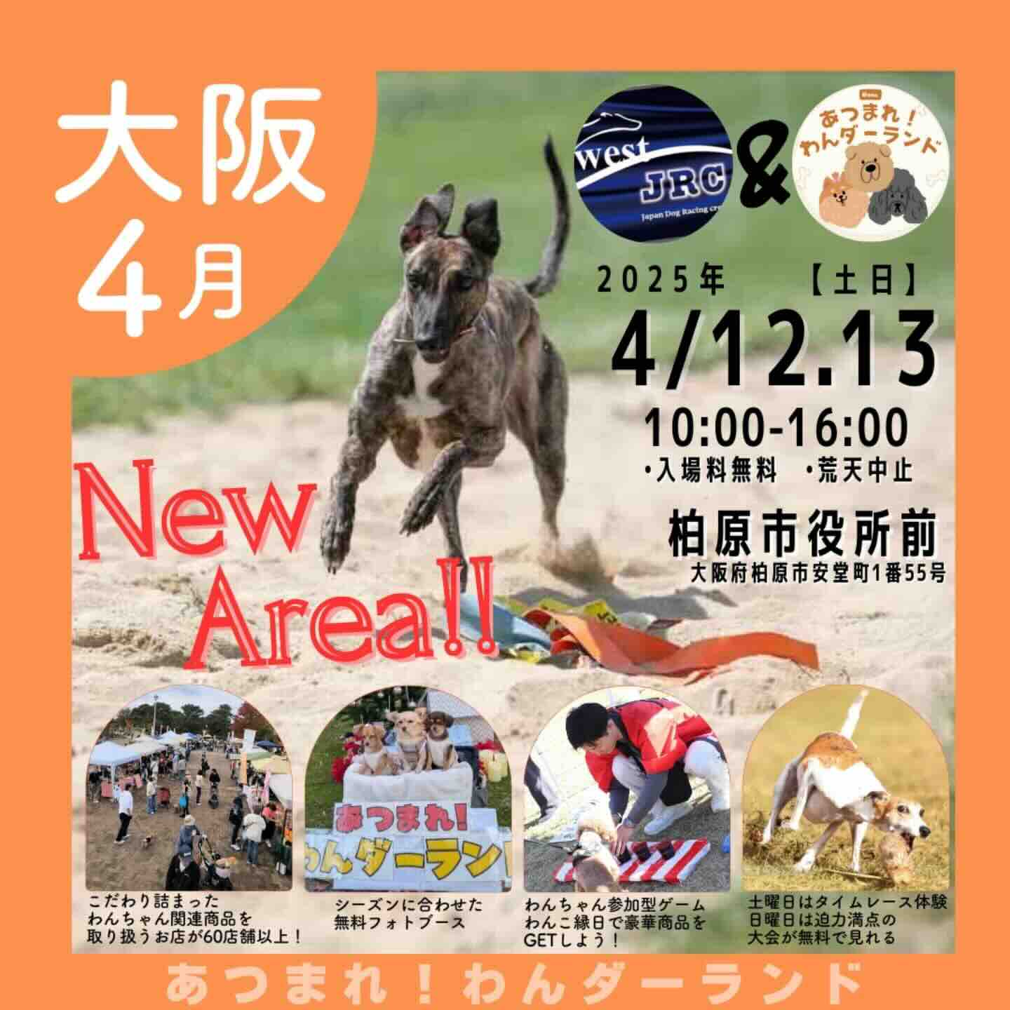 あつまれ！わんダーランドのイベント画像