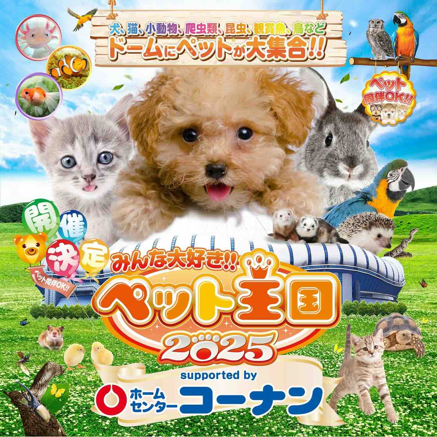 みんな大好き!!ペット王国2025のイベント画像