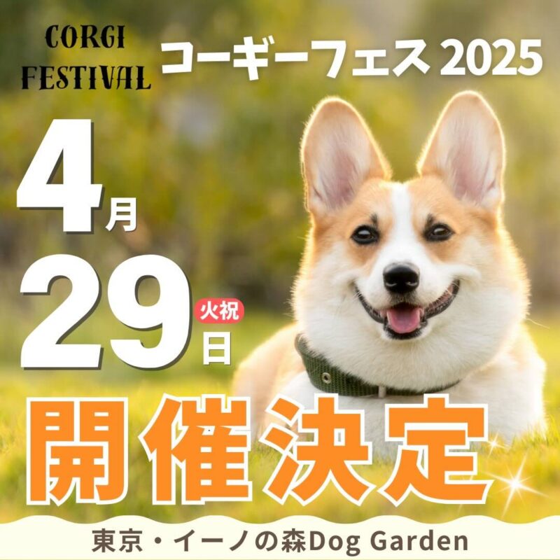 コーギーフェスティバル 2025のイベント画像