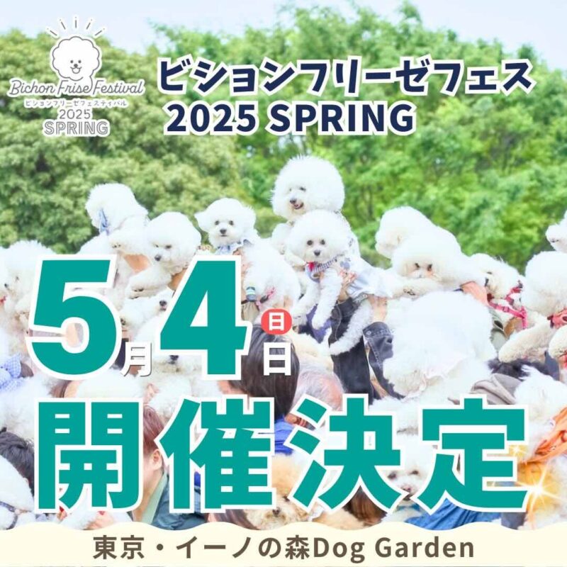 ビションフリーゼフェスティバル 2025 SPRINGのイベント画像