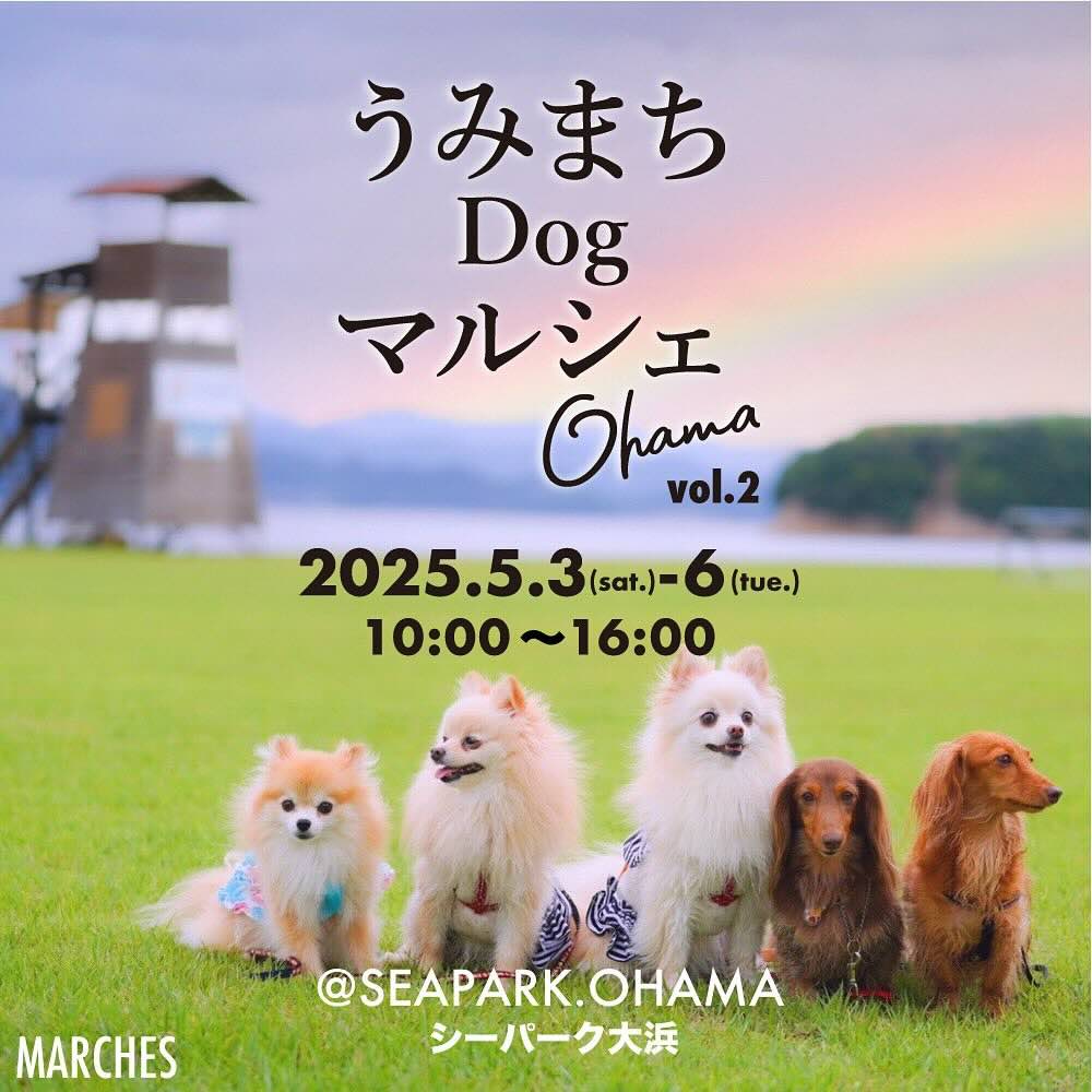 うみまちdogマルシェのイベント画像