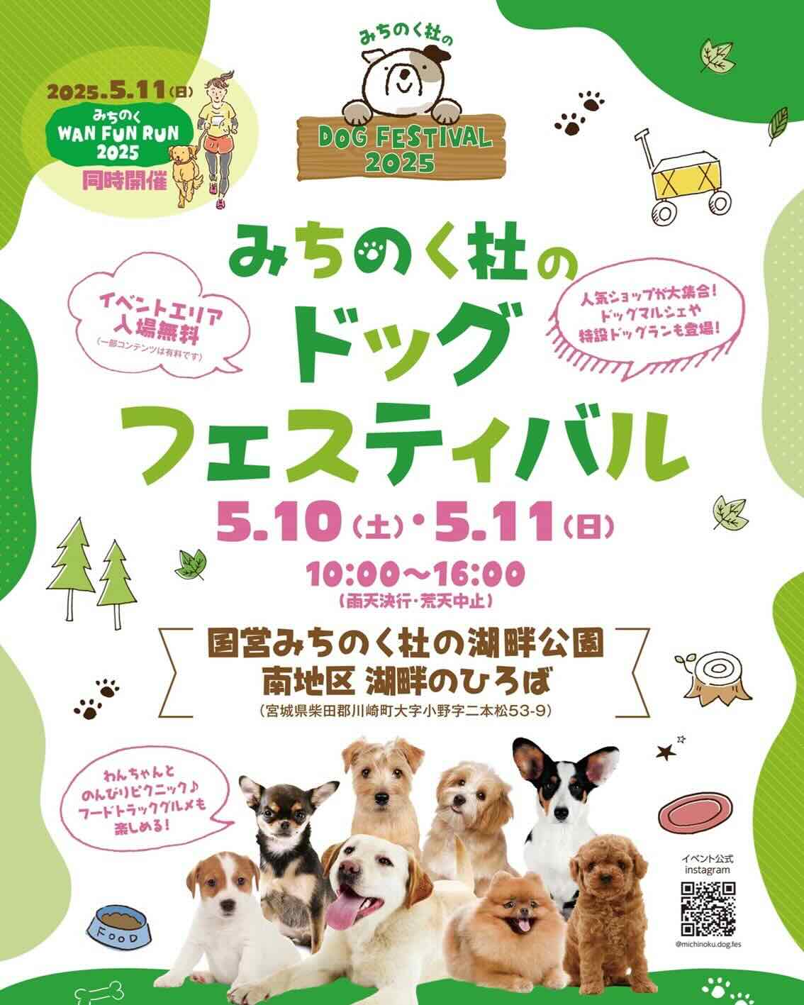 みちのく杜のドッグフェスティバルのイベント画像
