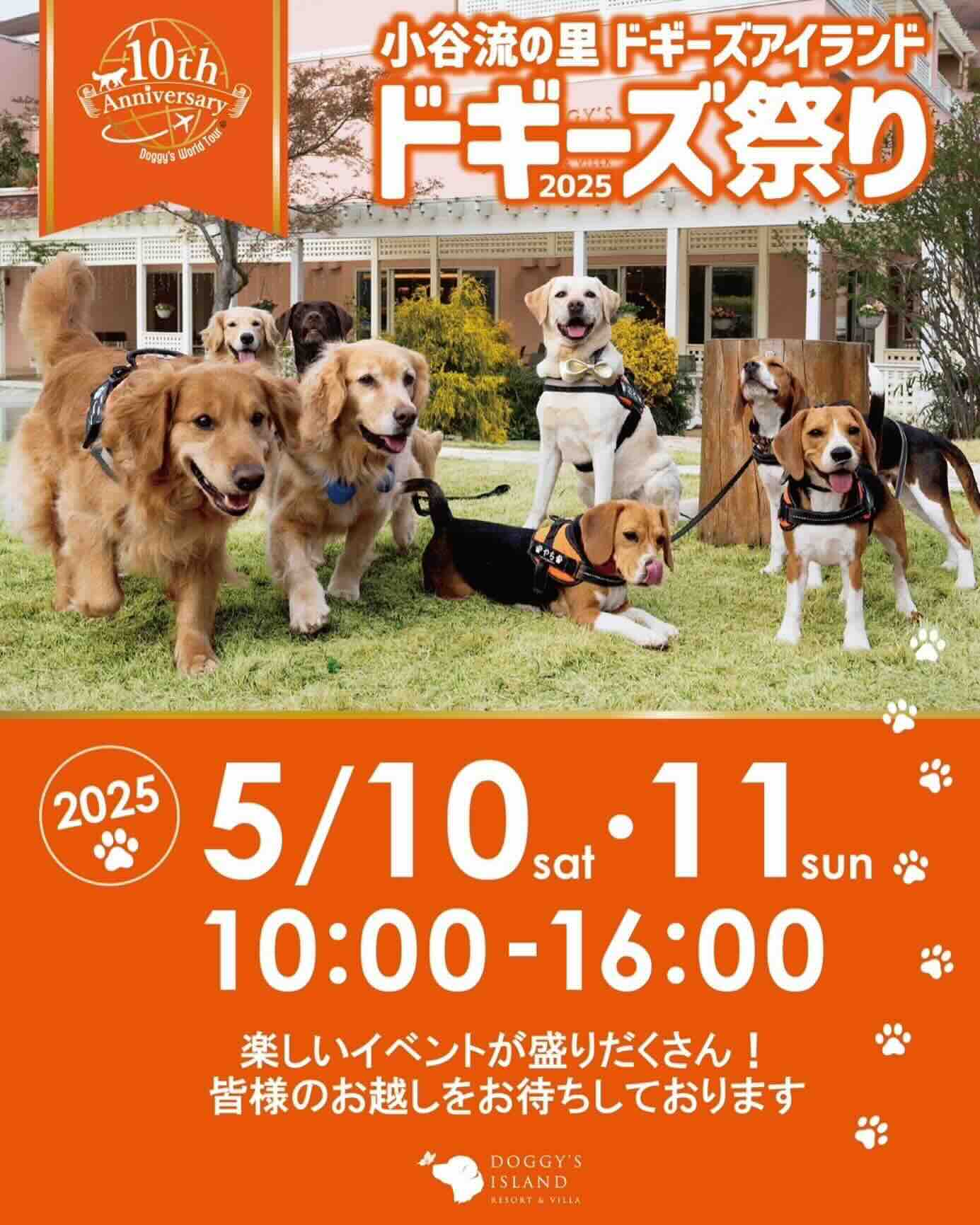 ドギーズ祭り2025のイベント画像