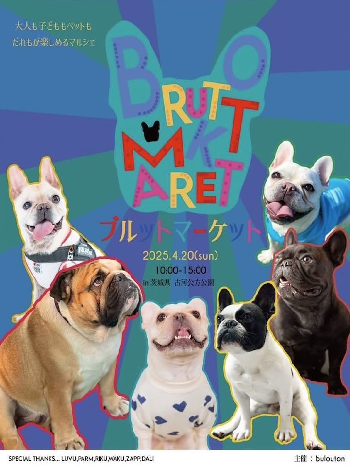 BRUTTOMARKETのイベント画像
