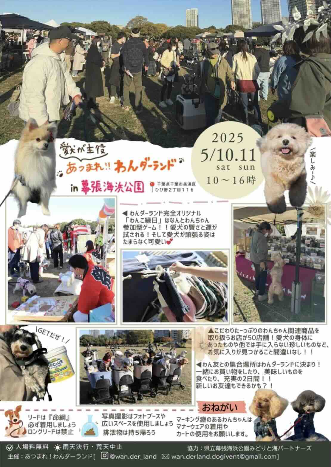 あつまれ!わんダーランドのイベント画像