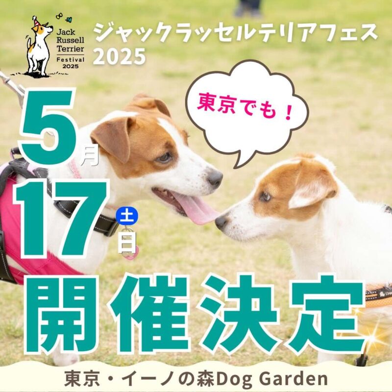 ジャックラッセルテリアフェスティバル 2025のイベント画像