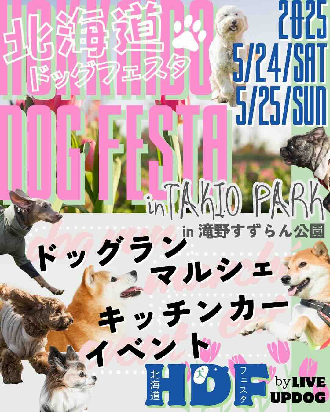 HDF（北海道ドッグフェスタ）のイベント画像