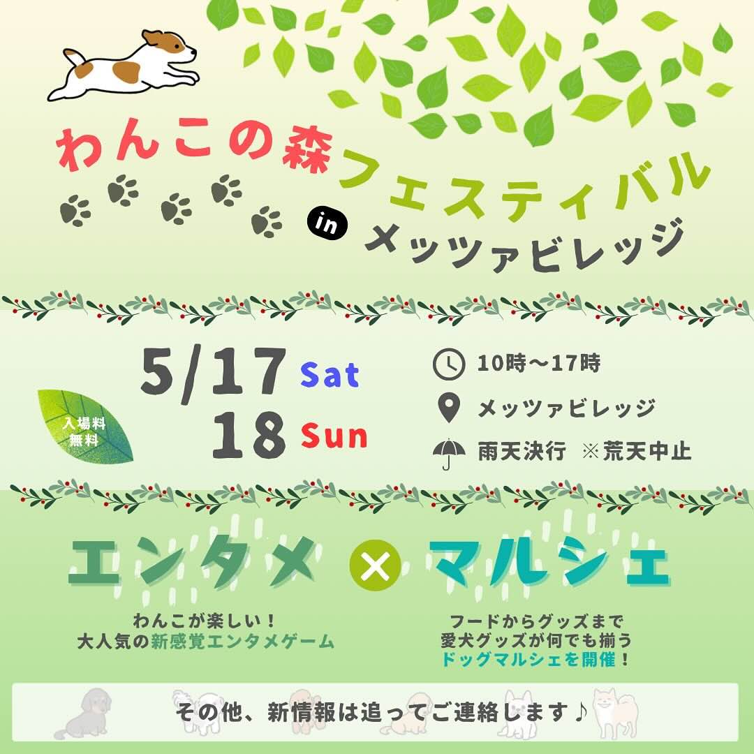 わんこの森フェスティバル!in メッツァビレッジのイベント画像