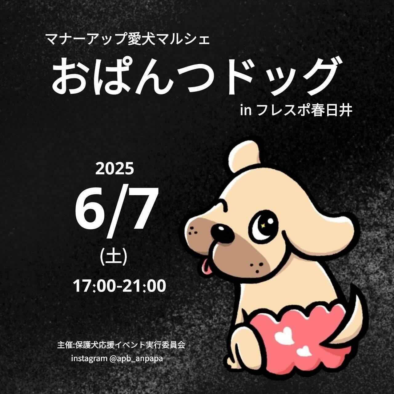 おぱんつドッグ in フレスポ春日井のイベント画像