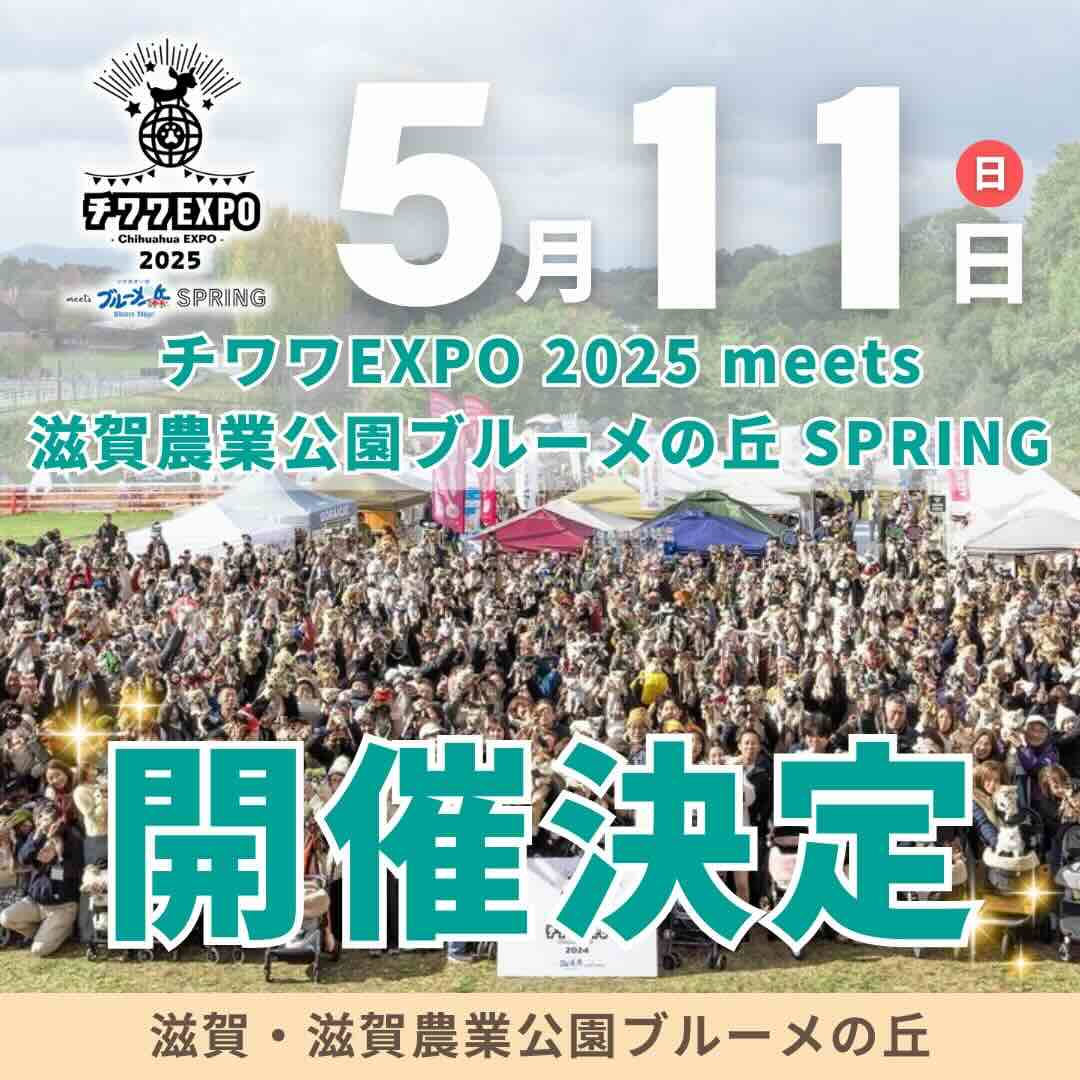 チワワEXPO 2025 meets 滋賀農業公園ブルーメの丘のイベント画像